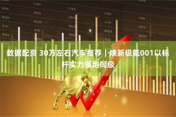 数据配资 30万左右汽车推荐｜焕新极氪001以标杆实力领跑同级