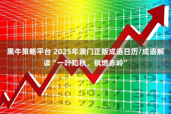 黑牛策略平台 2025年澳门正版成语日历/成语解读“一叶知秋，枫燃赤岭”