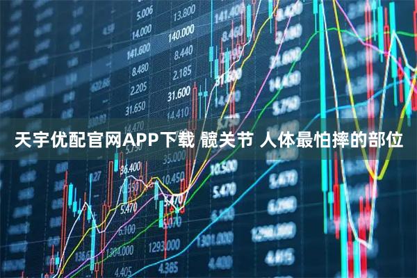 天宇优配官网APP下载 髋关节 人体最怕摔的部位