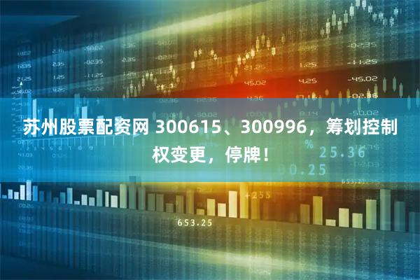 苏州股票配资网 300615、300996，筹划控制权变更，停牌！
